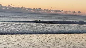 North Florida Surf and Beach Update 725am 10.31.2021