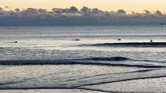 North Florida Surf and Beach Update 725am 10.31.2021