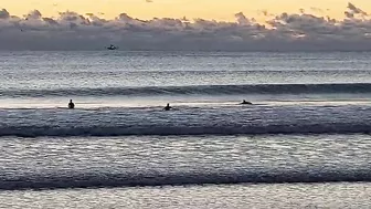 North Florida Surf and Beach Update 725am 10.31.2021