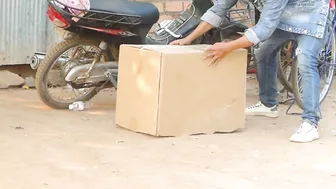 Huge Paper Box Vs Sleeping Dog | Super Funny Video Prank Dog Compilations