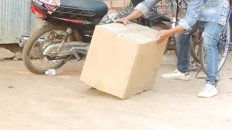 Huge Paper Box Vs Sleeping Dog | Super Funny Video Prank Dog Compilations