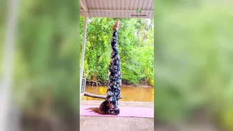 Upside down yoga Asanas- Back bending yoga poses | Yoga with Urmi Pandya