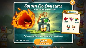 Angry Birds 2 Golden Pig Challenge 6 Rooms (Red Bird)