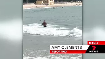 Shark spotted in between the flags at Manly beach | 7 News Australia