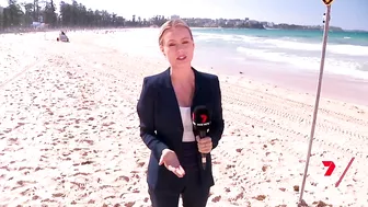 Shark spotted in between the flags at Manly beach | 7 News Australia