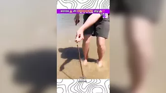 खतरनाक ⚠️Beach Worm ????⁉️ #shorts#youtubeshorts#viral#trending#funny#animals#fish#india#new#fun#top