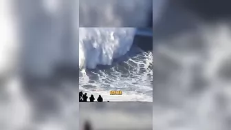 These Surfing Moments Are Wild