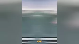 These Surfing Moments Are Wild