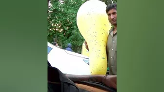 Extra Large Balloon Seller in Delhi, India ????????