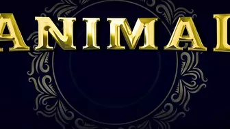 ANIMAL: HUA MAIN (Song) | Ranbir Kapoor | Rashmika M | Sandeep V | Raghav,Manoj M | Bhushan K