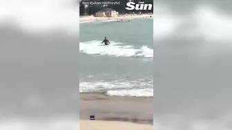 HUGE shark lurks up close to unsuspecting swimmers on Sydney beach