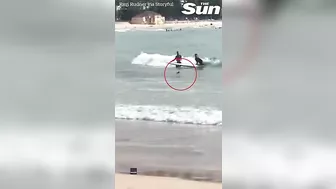 HUGE shark lurks up close to unsuspecting swimmers on Sydney beach