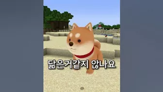 마크 낚시로 낚은 시바견