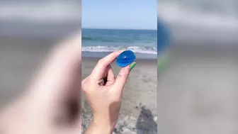 LOOKING FOR FIDGETS at the BEACH! ???????????? *strange amazon fidgets*