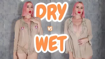 See-through Try on Haul: Dry vs Wet Challenge