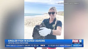 Deep-Sea Fish Washes Up On SoCal Beach