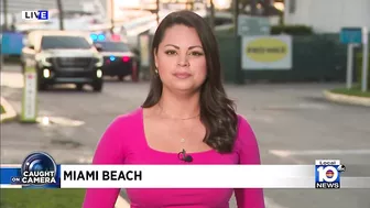 Vicious dog attack in Miami Beach caught on camera