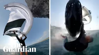 Video captures moment wingfoiler is body-slammed by whale at Sydney beach