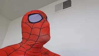 If Spider-Man quit saving people for free