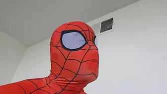 If Spider-Man quit saving people for free