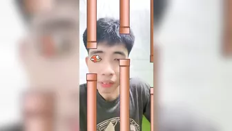 FLAPPY BIRD FILTER #beatbox #tiktok