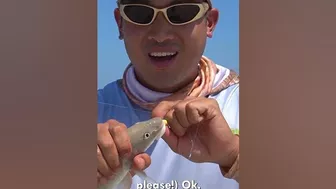 These rod bends are insane... #fishing #beach #fishingvideo #beachfishing