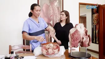 Magkano nga ba ang inaabot sa paggawa ng plastinated models? | I-Witness