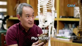 Magkano nga ba ang inaabot sa paggawa ng plastinated models? | I-Witness