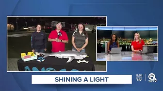 Shark research activities planned for LagoonFest Saturday in West Palm Beach