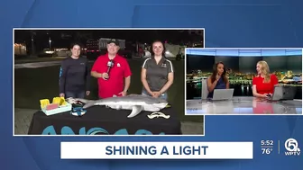 Shark research activities planned for LagoonFest Saturday in West Palm Beach