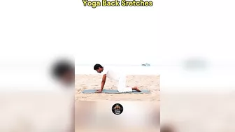 Yoga Back Stretches @yogawithamit #backpain #backworkout #back #yoga