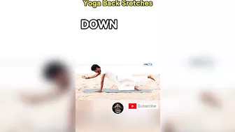 Yoga Back Stretches @yogawithamit #backpain #backworkout #back #yoga