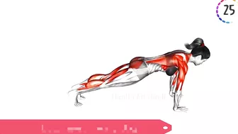 Stretching Workout At Home | Stretching Workout For Man & Women