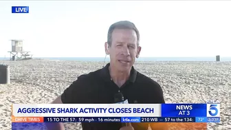 Shark activity closes stretch of Huntington Beach coastline