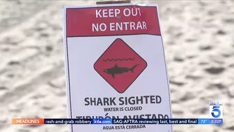 Shark activity closes stretch of Huntington Beach coastline