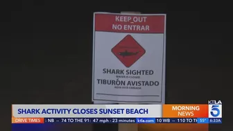 ‘Aggressive shark activity’ prompts closure of beach in Orange County