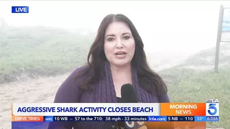 ‘Aggressive shark activity’ prompts closure of beach in Orange County