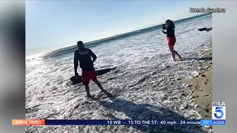 ‘Aggressive shark activity’ prompts closure of beach in Orange County