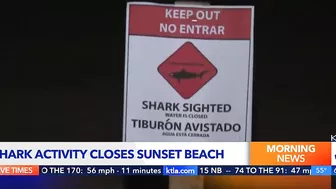 ‘Aggressive shark activity’ prompts closure of beach in Orange County