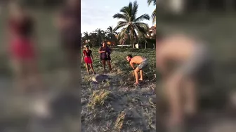 Helping a Turtle Stuck on the Beach || ViralHog