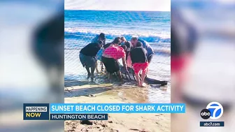 Sunset Beach in Orange County closed due to shark activity