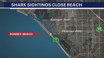 Shark sightings close OC beach