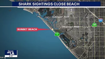 Shark sightings close OC beach