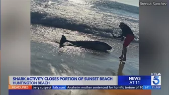 Shark activity closes portion of Sunset Beach