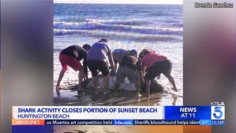 Shark activity closes portion of Sunset Beach