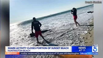 Shark activity closes portion of Sunset Beach