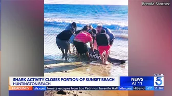 Shark activity closes portion of Sunset Beach