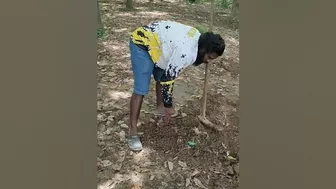 Catching fish from muddy stream