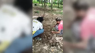 Catching fish from muddy stream