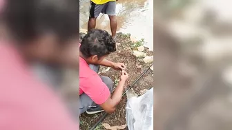 Catching fish from muddy stream